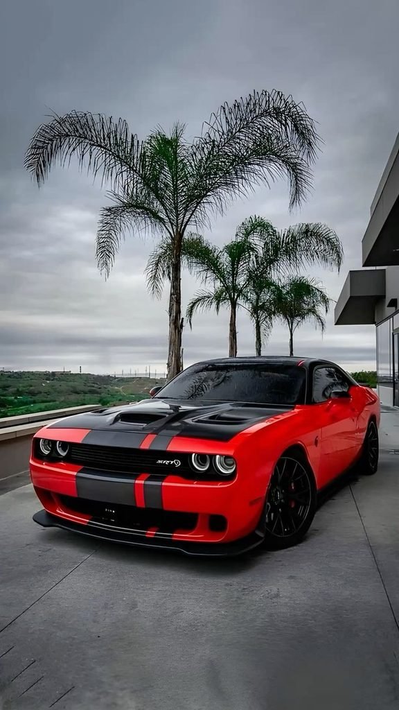 car cars